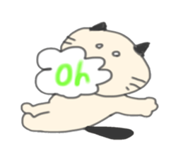 5 pretty cats sticker #8623852