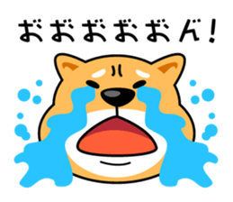 Daily Shiba Inu From SENDAI sticker #8624904