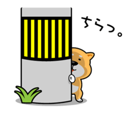Daily Shiba Inu From SENDAI sticker #8624909