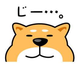 Daily Shiba Inu From SENDAI sticker #8624913