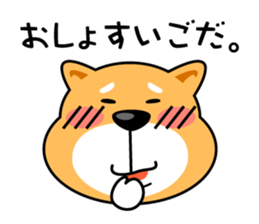 Daily Shiba Inu From SENDAI sticker #8624925