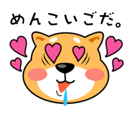 Daily Shiba Inu From SENDAI sticker #8624934