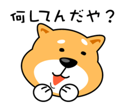 Daily Shiba Inu From SENDAI sticker #8624936
