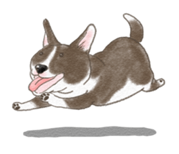 Dog wearing socks. sticker #8625345