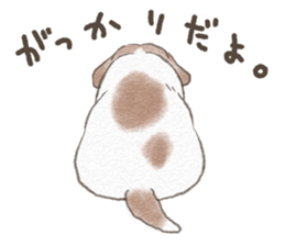 Dog wearing socks. sticker #8625350