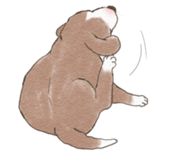 Dog wearing socks. sticker #8625357