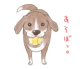 Dog wearing socks. sticker #8625366