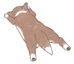 Dog wearing socks. sticker #8625371