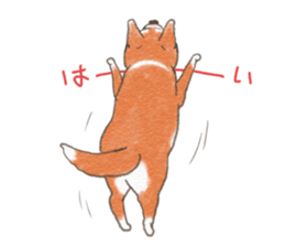 Dog wearing socks. sticker #8625374