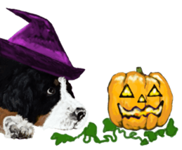 BERNESE MOUNTAIN DOG RIN Ver.4 sticker #8627978