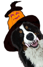 BERNESE MOUNTAIN DOG RIN Ver.4 sticker #8627979