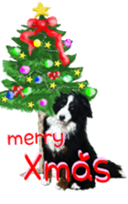 BERNESE MOUNTAIN DOG RIN Ver.4 sticker #8627984