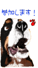 BERNESE MOUNTAIN DOG RIN Ver.4 sticker #8627990
