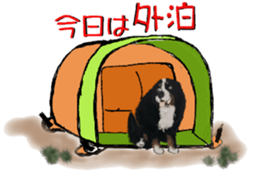 BERNESE MOUNTAIN DOG RIN Ver.4 sticker #8627992