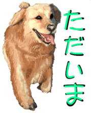 BERNESE MOUNTAIN DOG RIN Ver.4 sticker #8628005