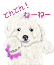 BERNESE MOUNTAIN DOG RIN Ver.4 sticker #8628006