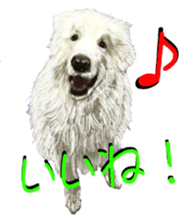 BERNESE MOUNTAIN DOG RIN Ver.4 sticker #8628008