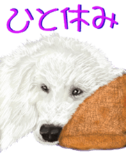 BERNESE MOUNTAIN DOG RIN Ver.4 sticker #8628009