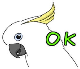 White cockatoos daily sticker #8632180