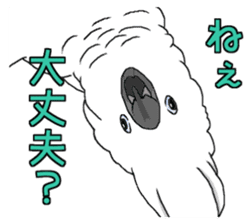 White cockatoos daily sticker #8632187