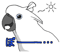 White cockatoos daily sticker #8632191