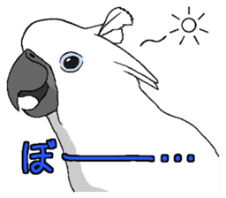 White cockatoos daily sticker #8632191