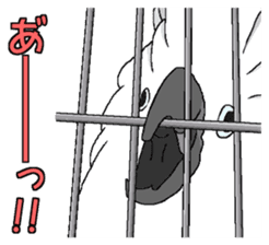 White cockatoos daily sticker #8632199