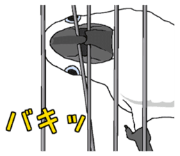 White cockatoos daily sticker #8632200