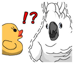 White cockatoos daily sticker #8632202