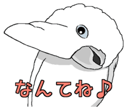 White cockatoos daily sticker #8632207