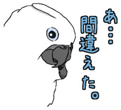 White cockatoos daily sticker #8632208