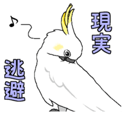 White cockatoos daily sticker #8632209