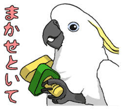 White cockatoos daily sticker #8632211