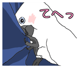 White cockatoos daily sticker #8632212
