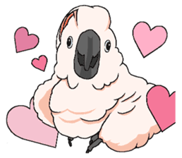 White cockatoos daily sticker #8632214
