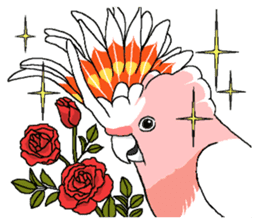 White cockatoos daily sticker #8632215