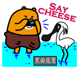 Tainan the Liu-Lang Bear sticker #8634484