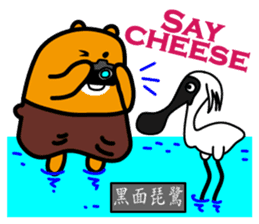 Tainan the Liu-Lang Bear sticker #8634484