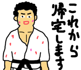 karate soul sticker #8636420