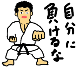 karate soul sticker #8636425