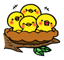 Piipii daily sticker #8639746