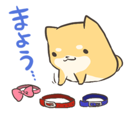 a lazy Shiba Inu Ver.everyday sticker #8639865