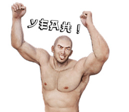 Sumo Man sticker #8641206