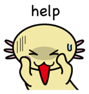 Golden Axolotl English version sticker #8643512