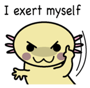 Golden Axolotl English version sticker #8643537