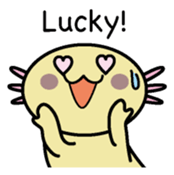 Golden Axolotl English version sticker #8643538