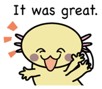 Golden Axolotl English version sticker #8643542
