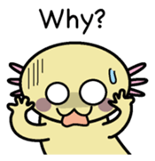 Golden Axolotl English version sticker #8643545