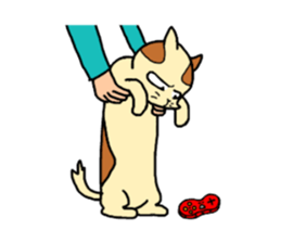 if you spend a cat sticker #8644230