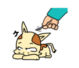 if you spend a cat sticker #8644232